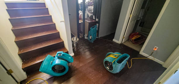 Best Water damage restoration process  in Russell, KS